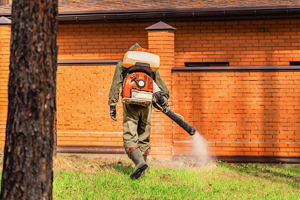 Trusted Mosquito Control service in Port Republic, NJ - Nex Pest Control